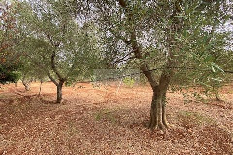 Villa a Carovigno, Brindisi, Carovigno - € 240.000 | Ref: V20 VILLA - foto 17