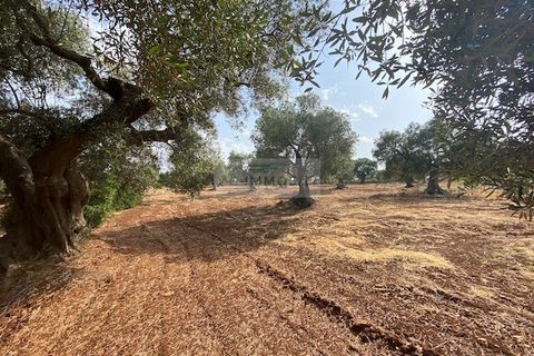 Villa a Carovigno, Brindisi, Carovigno - € 240.000 | Ref: V20 VILLA - foto 18
