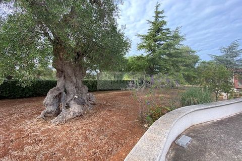 Villa a Carovigno, Brindisi, Carovigno - € 240.000 | Ref: V20 VILLA - foto 10