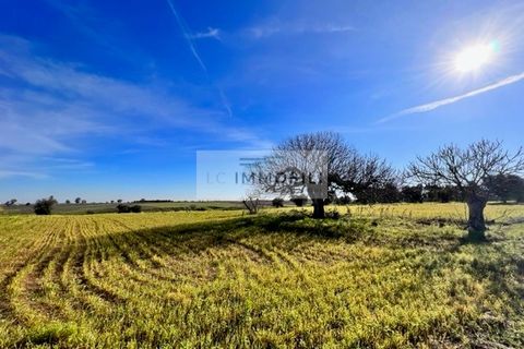 Terra a Carovigno, Brindisi, Carovigno - € 100.000 | Ref: CA1 Casolare - foto 30