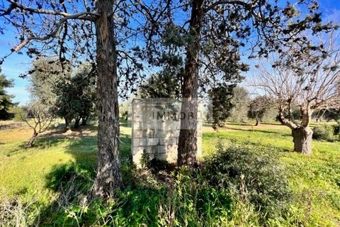 Terra a Carovigno, Brindisi, Carovigno - € 100.000 | Ref: CA1 Casolare - foto 19