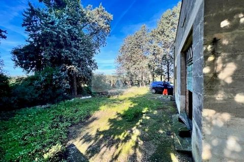 Terra a Carovigno, Brindisi, Carovigno - € 100.000 | Ref: CA1 Casolare - foto 9