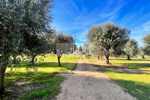 Terra a Carovigno, Brindisi, Carovigno - € 100.000 | Ref: CA1 Casolare - foto 6