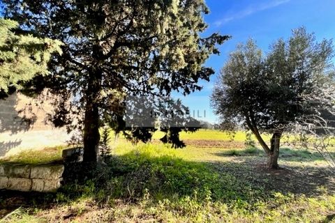 Terra a Carovigno, Brindisi, Carovigno - € 100.000 | Ref: CA1 Casolare - foto 11
