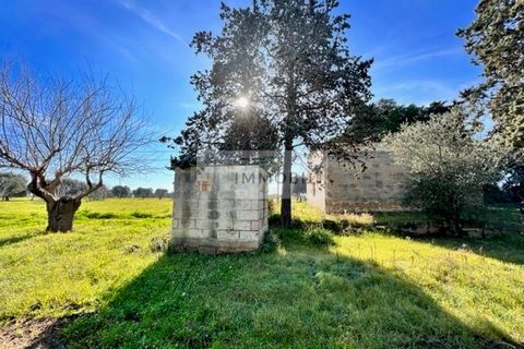 Terra a Carovigno, Brindisi, Carovigno - € 100.000 | Ref: CA1 Casolare - foto 22