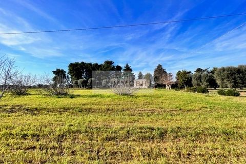 Terra a Carovigno, Brindisi, Carovigno - € 100.000 | Ref: CA1 Casolare - foto 7