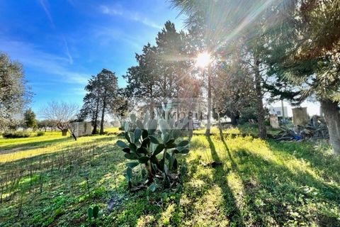 Terra a Carovigno, Brindisi, Carovigno - € 100.000 | Ref: CA1 Casolare - foto 24