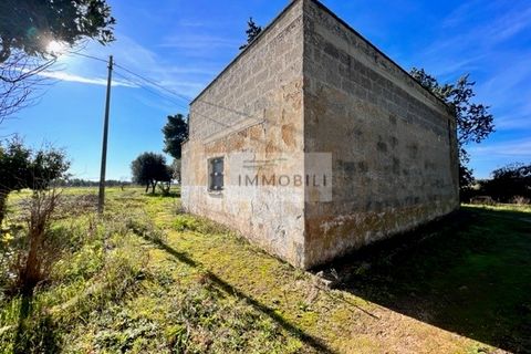 Terra a Carovigno, Brindisi, Carovigno - € 100.000 | Ref: CA1 Casolare - foto 13