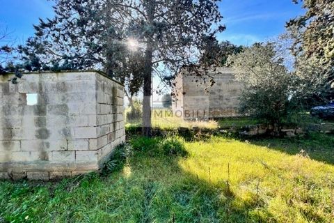 Terra a Carovigno, Brindisi, Carovigno - € 100.000 | Ref: CA1 Casolare - foto 21