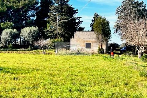 Terra a Carovigno, Brindisi, Carovigno - € 100.000 | Ref: CA1 Casolare - foto 8