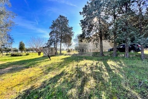 Terra a Carovigno, Brindisi, Carovigno - € 100.000 | Ref: CA1 Casolare - foto 23