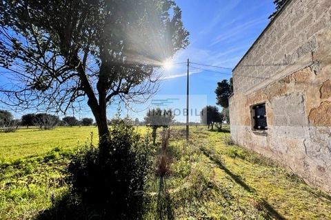 Terra a Carovigno, Brindisi, Carovigno - € 100.000 | Ref: CA1 Casolare - foto 12