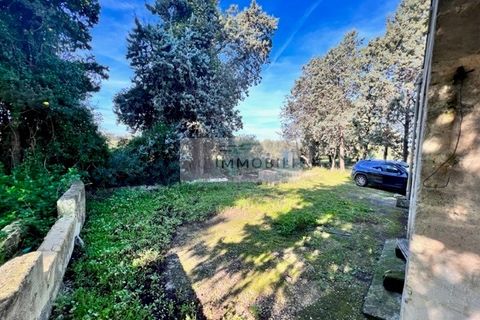 Terra a Carovigno, Brindisi, Carovigno - € 100.000 | Ref: CA1 Casolare - foto 10