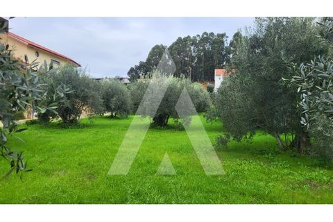 Helårsgrund i Leiria, Leiria, Leiria - € 80.000 | Ref: 1130832/23 LR - foto 1