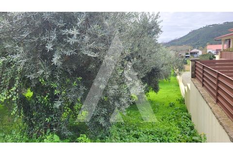 Helårsgrund i Leiria, Leiria, Leiria - € 80.000 | Ref: 1130832/23 LR - foto 3