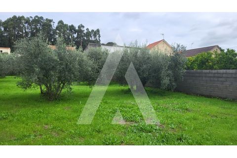 Helårsgrund i Leiria, Leiria, Leiria - € 80.000 | Ref: 1130832/23 LR - foto 4