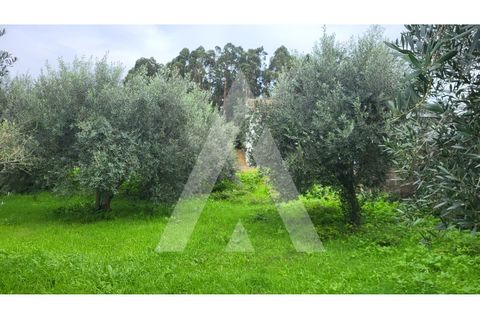 Helårsgrund i Leiria, Leiria, Leiria - € 80.000 | Ref: 1130832/23 LR - foto 5