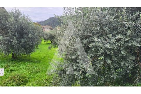 Helårsgrund i Leiria, Leiria, Leiria - € 80.000 | Ref: 1130832/23 LR - foto 6
