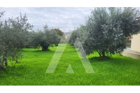 Helårsgrund i Leiria, Leiria, Leiria - € 80.000 | Ref: 1130832/23 LR - foto 7