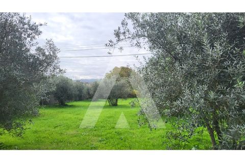Helårsgrund i Leiria, Leiria, Leiria - € 80.000 | Ref: 1130832/23 LR - foto 9