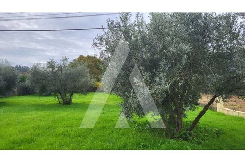 Helårsgrund i Leiria, Leiria, Leiria - € 80.000 | Ref: 1130832/23 LR - foto 10