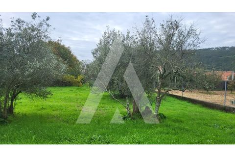 Helårsgrund i Leiria, Leiria, Leiria - € 80.000 | Ref: 1130832/23 LR - foto 11