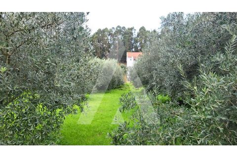 Helårsgrund i Leiria, Leiria, Leiria - € 80.000 | Ref: 1130832/23 LR - foto 14