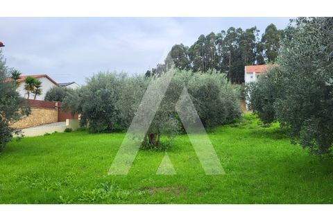 Helårsgrund i Leiria, Leiria, Leiria - € 80.000 | Ref: 1130832/23 LR - foto 15