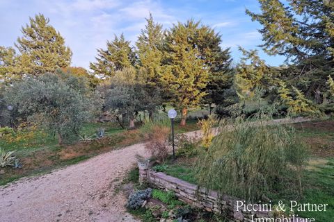 Villa a Paciano, Perugia, Paciano - € 165.000 | Ref: PG1619 - foto 5