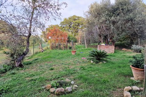 Villa a Paciano, Perugia, Paciano - € 165.000 | Ref: PG1619 - foto 6