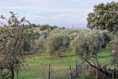 Villa a Paciano, Perugia, Paciano - € 165.000 | Ref: PG1619 - foto 24