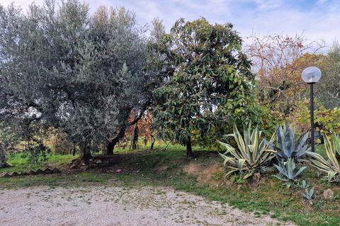 Villa a Paciano, Perugia, Paciano - € 165.000 | Ref: PG1619 - foto 35