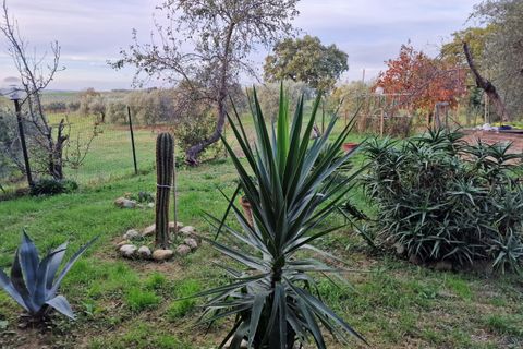 Villa a Paciano, Perugia, Paciano - € 165.000 | Ref: PG1619 - foto 36