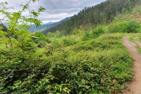 Terreno en Llodio, Alava, Llodio - € 200.000 | Ref: EXP05249/8930 - photo 11