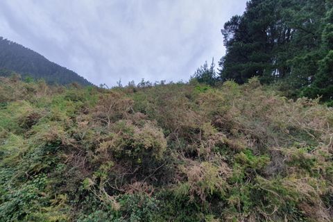 Terreno en Llodio, Alava, Llodio - € 200.000 | Ref: EXP05249/8930 - photo 12