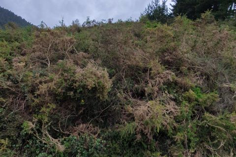 Terreno en Llodio, Alava, Llodio - € 200.000 | Ref: EXP05249/8930 - photo 13