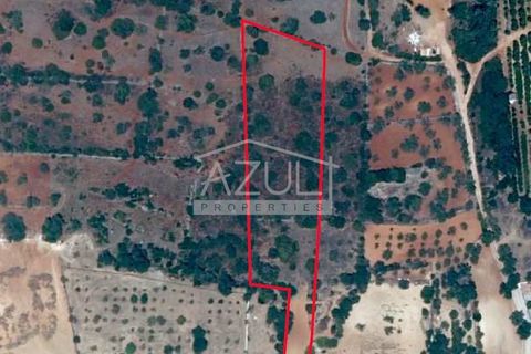 Helårsgrund i Loule, Faro, Loule - € 220.000 | Ref: 1009-2325 - foto 5