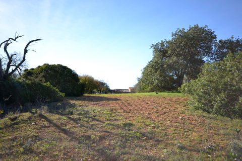 Helårsgrund i Loule, Faro, Loule - € 220.000 | Ref: 1009-2325 - foto 6