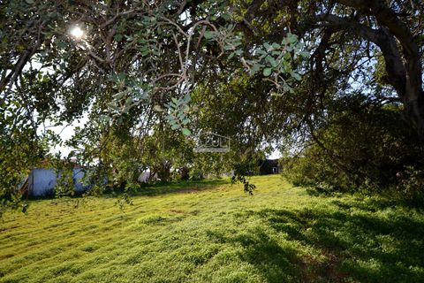 Helårsgrund i Loule, Faro, Loule - € 220.000 | Ref: 1009-2325 - foto 11