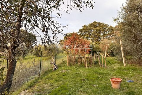 Rækkehus i Paciano, Perugia, Paciano - € 165.000 | Ref: Po304 - foto 25