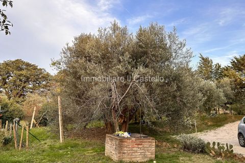 Rækkehus i Paciano, Perugia, Paciano - € 165.000 | Ref: Po304 - foto 26