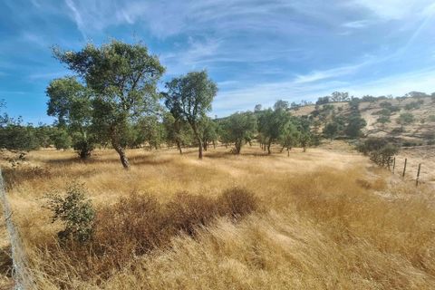 Terra a Serpa, Beja, Serpa - € 120.000 | Ref: 0166 - foto 2