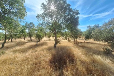 Terra a Serpa, Beja, Serpa - € 120.000 | Ref: 0166 - foto 3