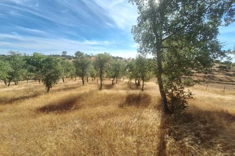 Terra a Serpa, Beja, Serpa - € 120.000 | Ref: 0166 - foto 4