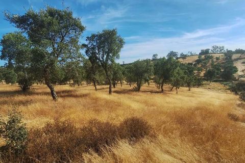 Terra a Serpa, Beja, Serpa - € 120.000 | Ref: 0166 - foto 5