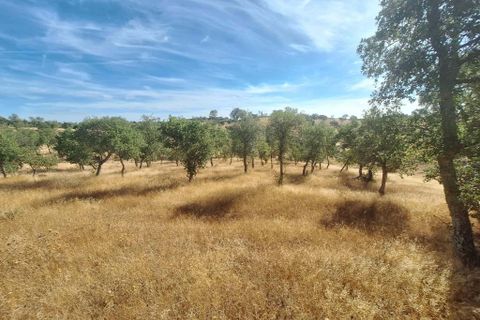 Terra a Serpa, Beja, Serpa - € 120.000 | Ref: 0166 - foto 7