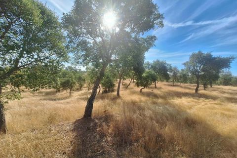 Terra a Serpa, Beja, Serpa - € 120.000 | Ref: 0166 - foto 8