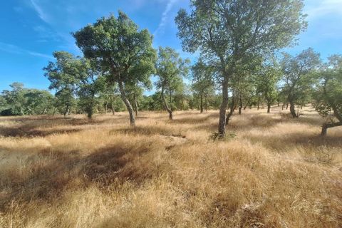 Terra a Serpa, Beja, Serpa - € 120.000 | Ref: 0166 - foto 9