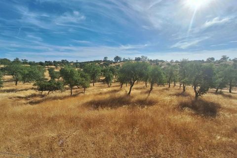 Terra a Serpa, Beja, Serpa - € 120.000 | Ref: 0166 - foto 10