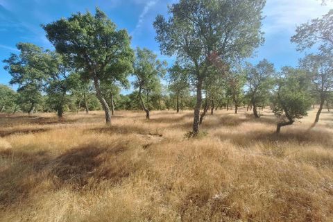 Terra a Serpa, Beja, Serpa - € 120.000 | Ref: 0166 - foto 12